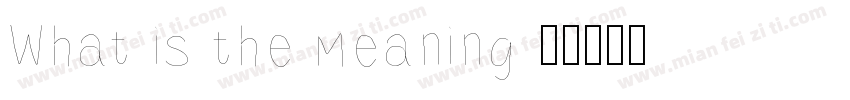 What is the meaning字体转换